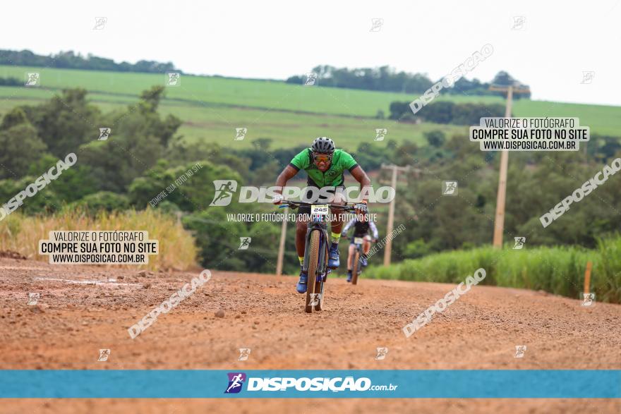 1ª EDIÇÃO DESAFIO ABELHA GRANDE - XCM