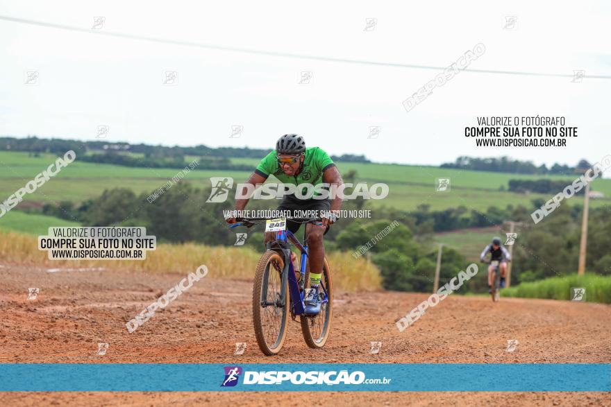 1ª EDIÇÃO DESAFIO ABELHA GRANDE - XCM