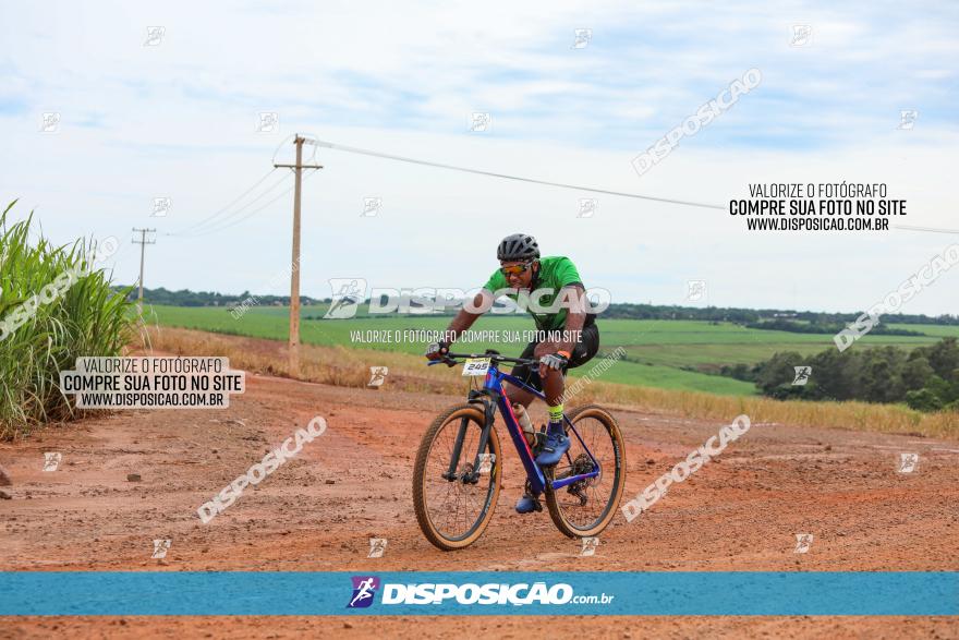 1ª EDIÇÃO DESAFIO ABELHA GRANDE - XCM