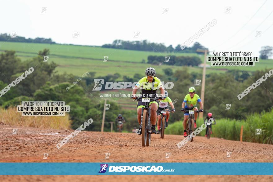 1ª EDIÇÃO DESAFIO ABELHA GRANDE - XCM