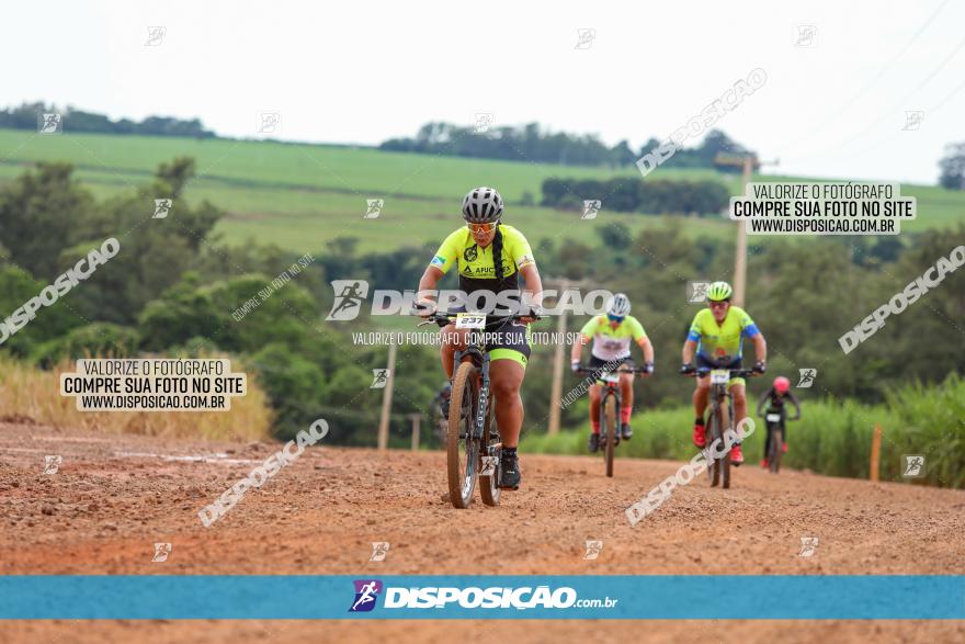 1ª EDIÇÃO DESAFIO ABELHA GRANDE - XCM