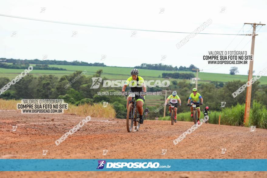 1ª EDIÇÃO DESAFIO ABELHA GRANDE - XCM