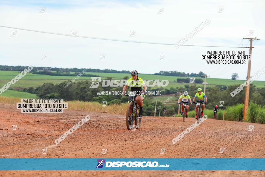 1ª EDIÇÃO DESAFIO ABELHA GRANDE - XCM