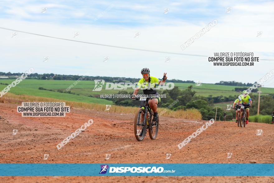 1ª EDIÇÃO DESAFIO ABELHA GRANDE - XCM