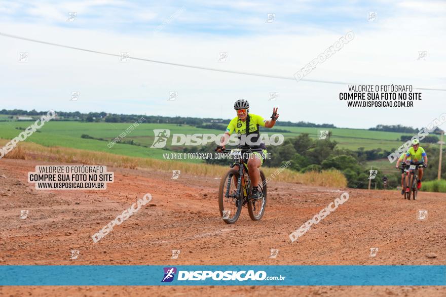 1ª EDIÇÃO DESAFIO ABELHA GRANDE - XCM