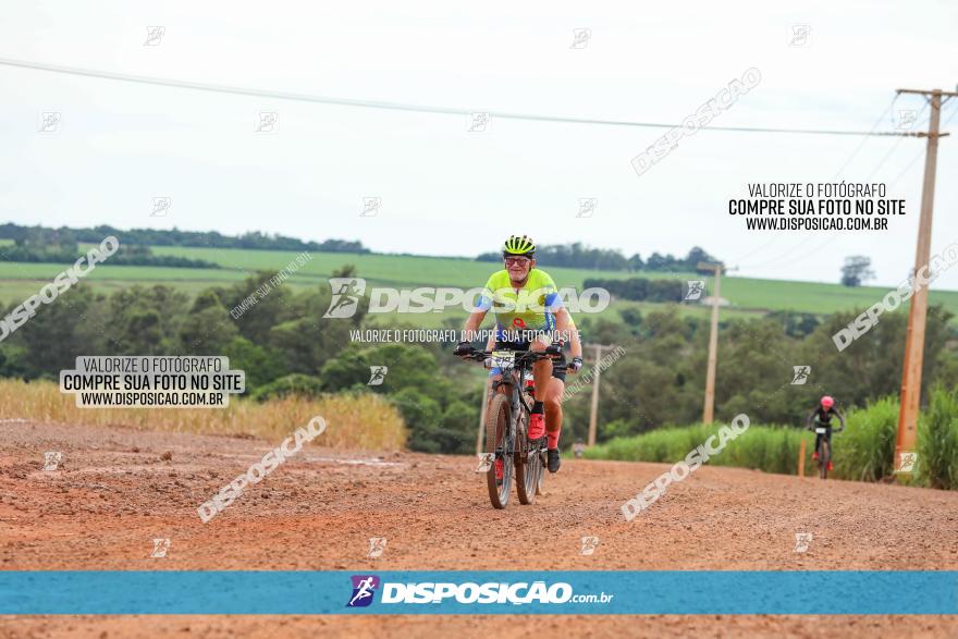 1ª EDIÇÃO DESAFIO ABELHA GRANDE - XCM