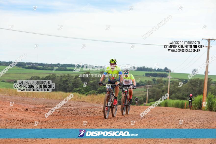 1ª EDIÇÃO DESAFIO ABELHA GRANDE - XCM