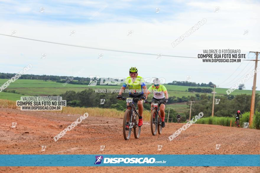 1ª EDIÇÃO DESAFIO ABELHA GRANDE - XCM