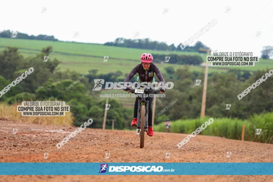 1ª EDIÇÃO DESAFIO ABELHA GRANDE - XCM