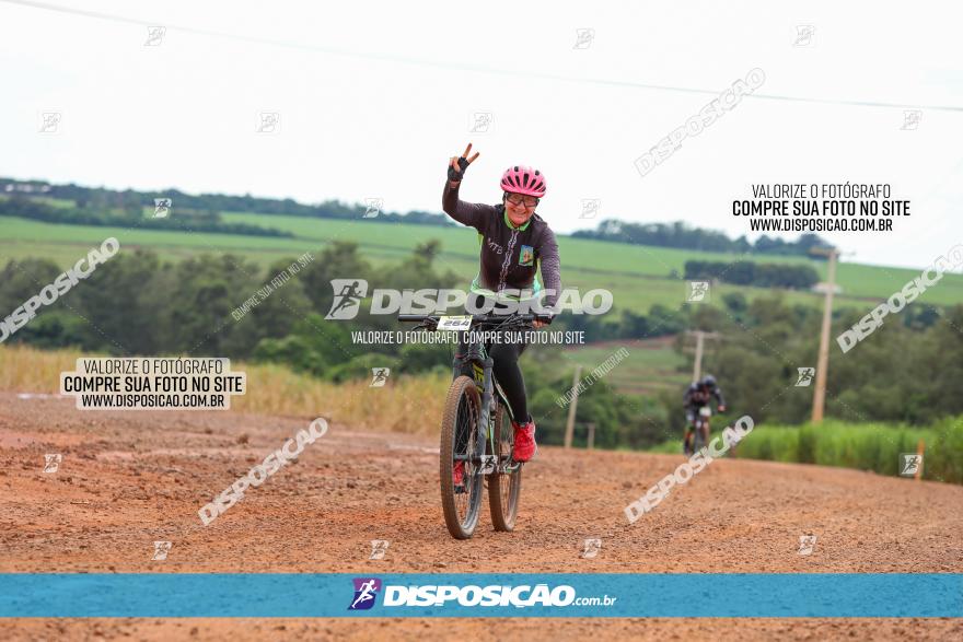 1ª EDIÇÃO DESAFIO ABELHA GRANDE - XCM