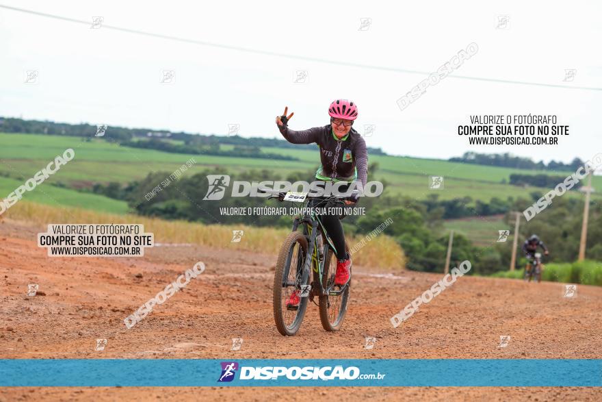 1ª EDIÇÃO DESAFIO ABELHA GRANDE - XCM