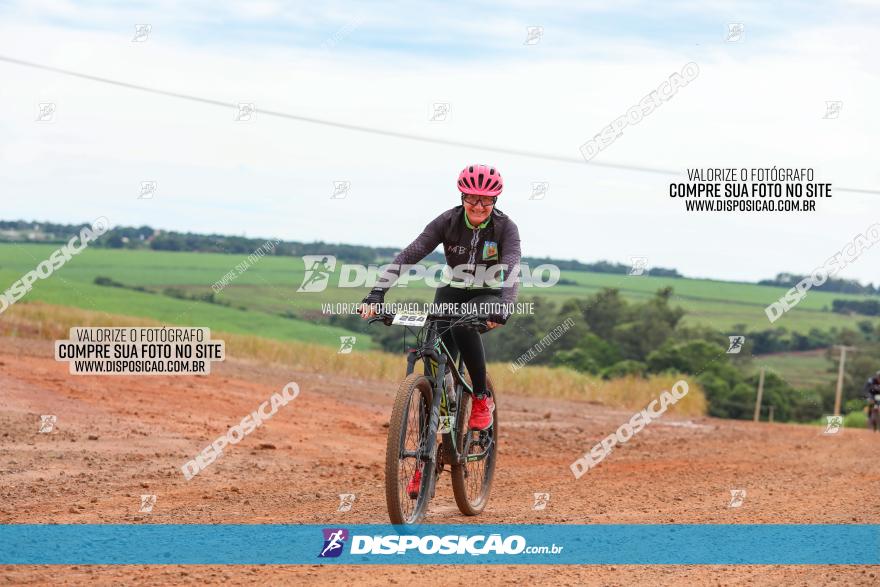 1ª EDIÇÃO DESAFIO ABELHA GRANDE - XCM