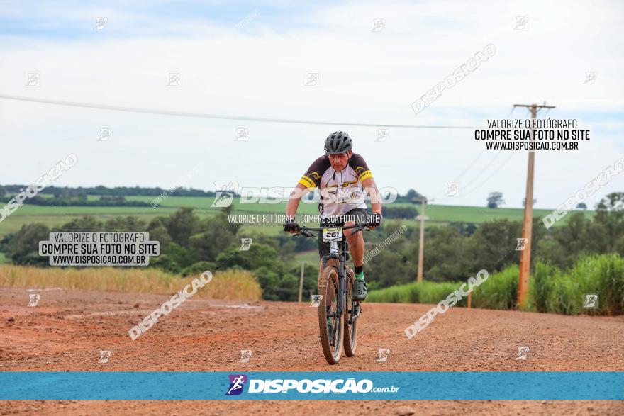 1ª EDIÇÃO DESAFIO ABELHA GRANDE - XCM