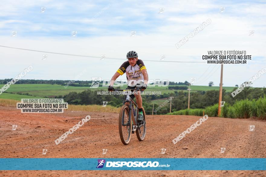 1ª EDIÇÃO DESAFIO ABELHA GRANDE - XCM