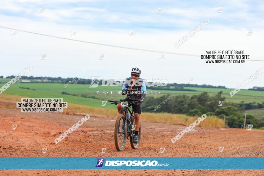 1ª EDIÇÃO DESAFIO ABELHA GRANDE - XCM