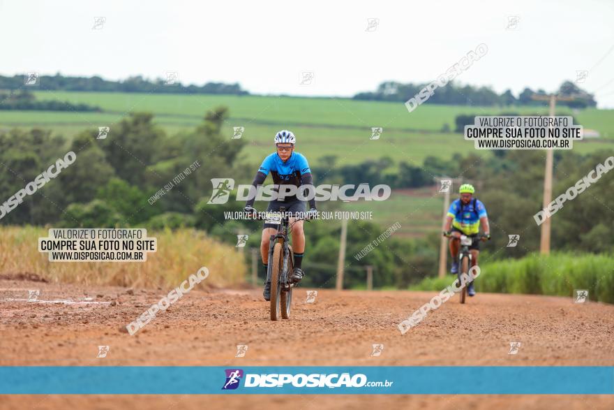 1ª EDIÇÃO DESAFIO ABELHA GRANDE - XCM