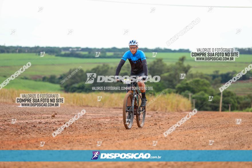 1ª EDIÇÃO DESAFIO ABELHA GRANDE - XCM