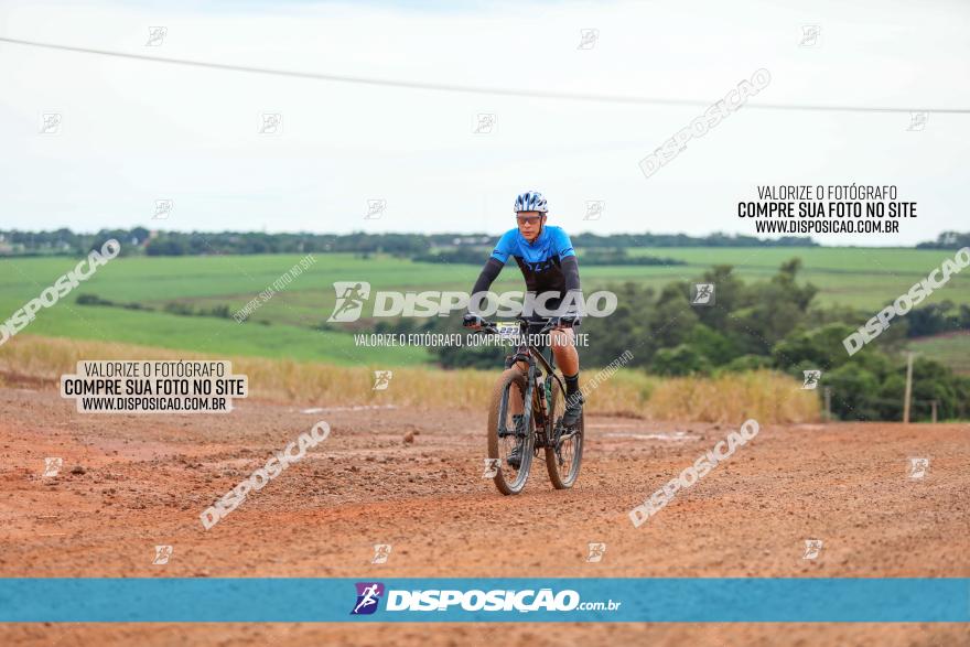 1ª EDIÇÃO DESAFIO ABELHA GRANDE - XCM