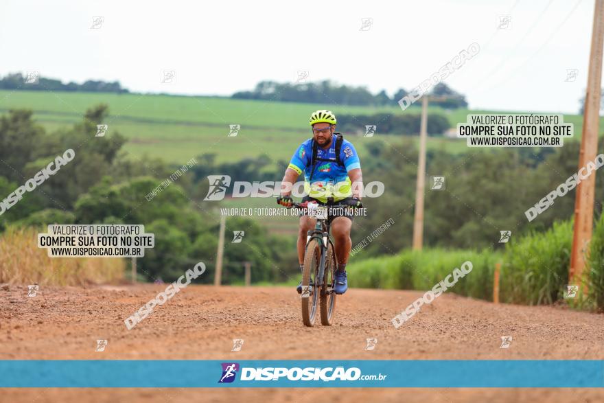 1ª EDIÇÃO DESAFIO ABELHA GRANDE - XCM