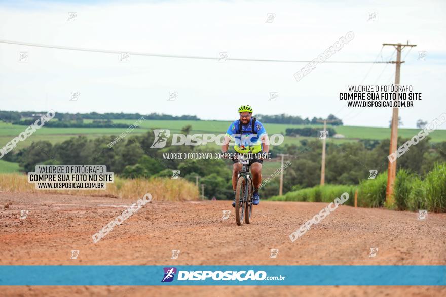 1ª EDIÇÃO DESAFIO ABELHA GRANDE - XCM