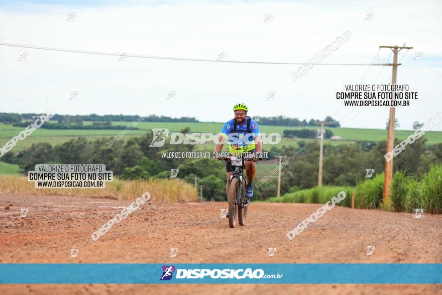 1ª EDIÇÃO DESAFIO ABELHA GRANDE - XCM