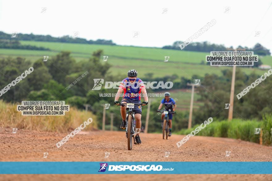 1ª EDIÇÃO DESAFIO ABELHA GRANDE - XCM