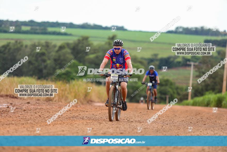 1ª EDIÇÃO DESAFIO ABELHA GRANDE - XCM