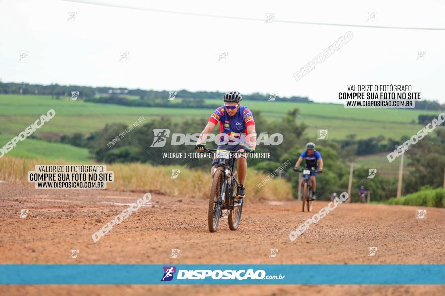 1ª EDIÇÃO DESAFIO ABELHA GRANDE - XCM