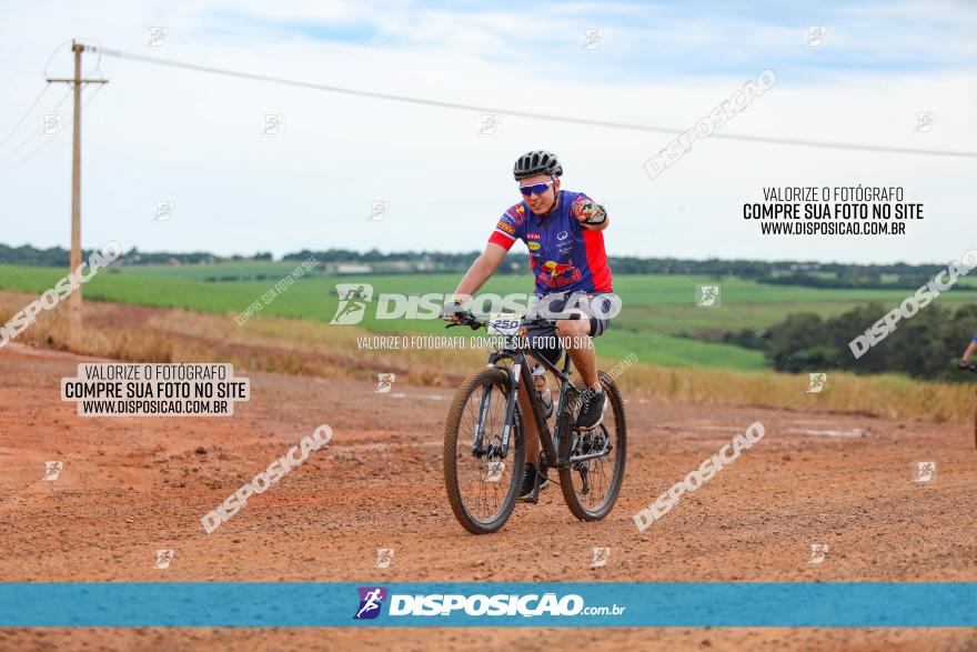 1ª EDIÇÃO DESAFIO ABELHA GRANDE - XCM