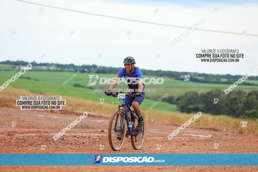 1ª EDIÇÃO DESAFIO ABELHA GRANDE - XCM