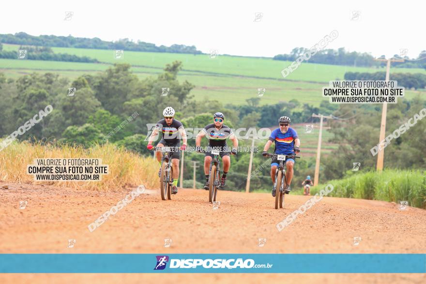 1ª EDIÇÃO DESAFIO ABELHA GRANDE - XCM