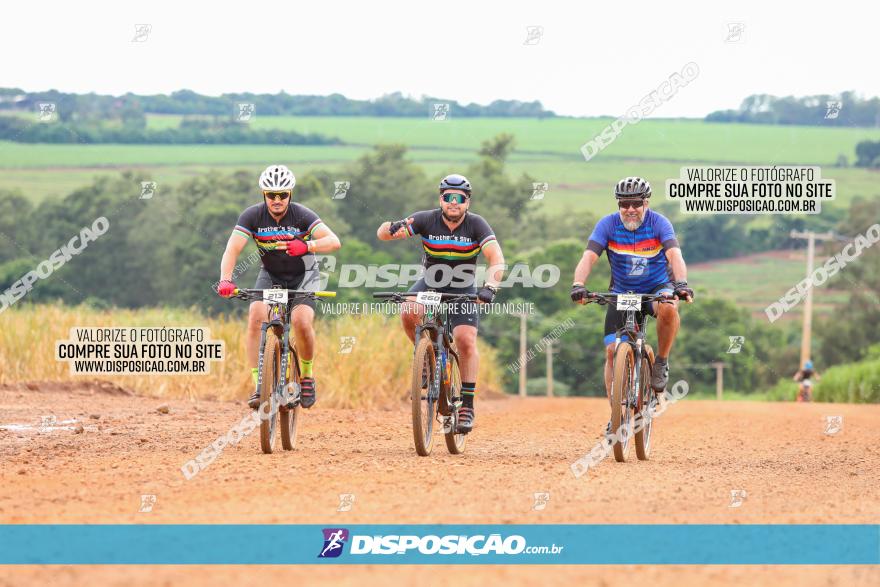 1ª EDIÇÃO DESAFIO ABELHA GRANDE - XCM