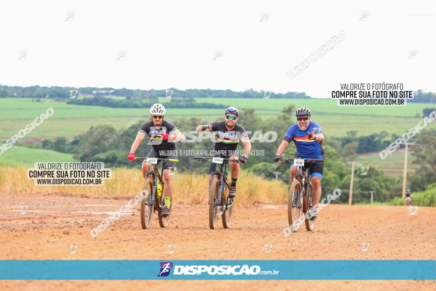 1ª EDIÇÃO DESAFIO ABELHA GRANDE - XCM