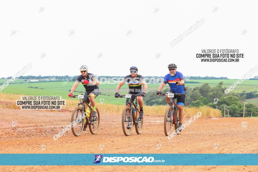 1ª EDIÇÃO DESAFIO ABELHA GRANDE - XCM