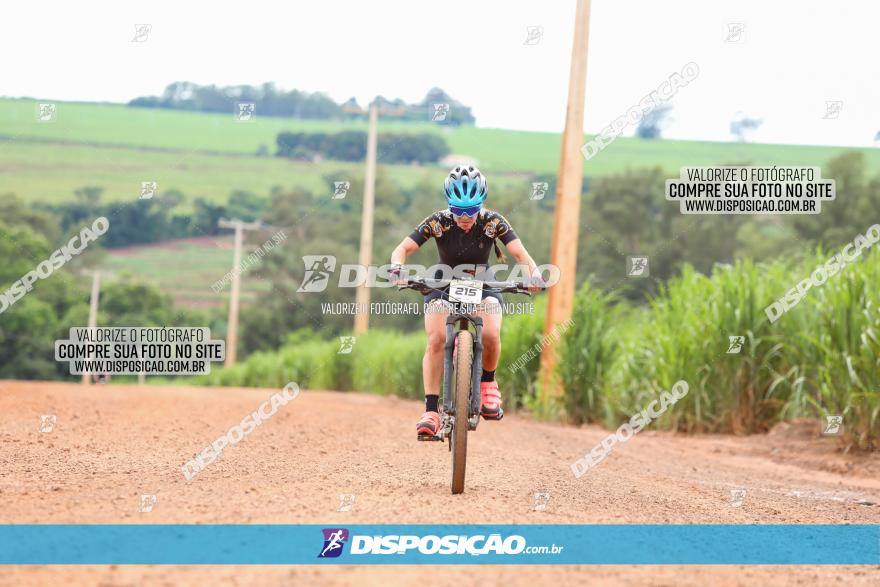 1ª EDIÇÃO DESAFIO ABELHA GRANDE - XCM