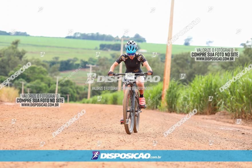 1ª EDIÇÃO DESAFIO ABELHA GRANDE - XCM