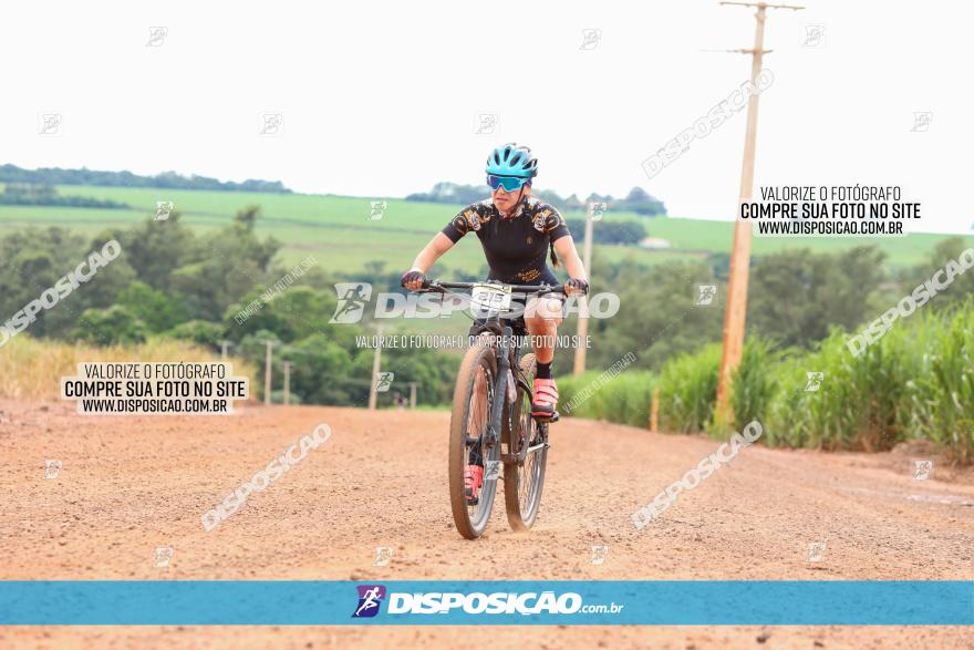 1ª EDIÇÃO DESAFIO ABELHA GRANDE - XCM