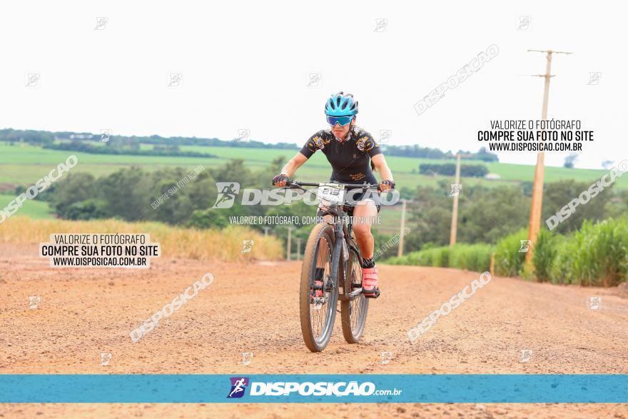 1ª EDIÇÃO DESAFIO ABELHA GRANDE - XCM