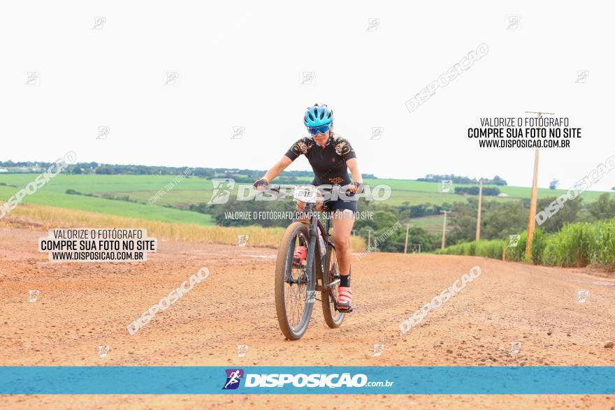 1ª EDIÇÃO DESAFIO ABELHA GRANDE - XCM