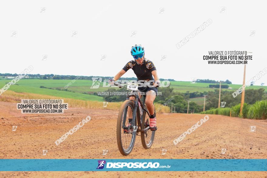 1ª EDIÇÃO DESAFIO ABELHA GRANDE - XCM