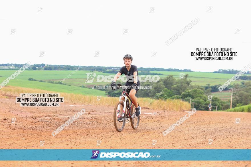 1ª EDIÇÃO DESAFIO ABELHA GRANDE - XCM