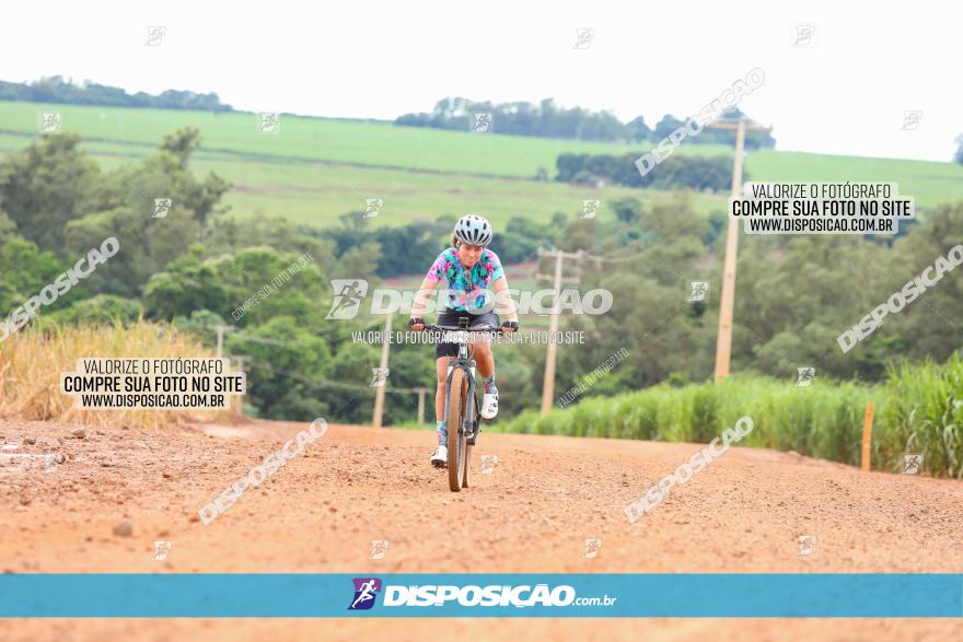 1ª EDIÇÃO DESAFIO ABELHA GRANDE - XCM