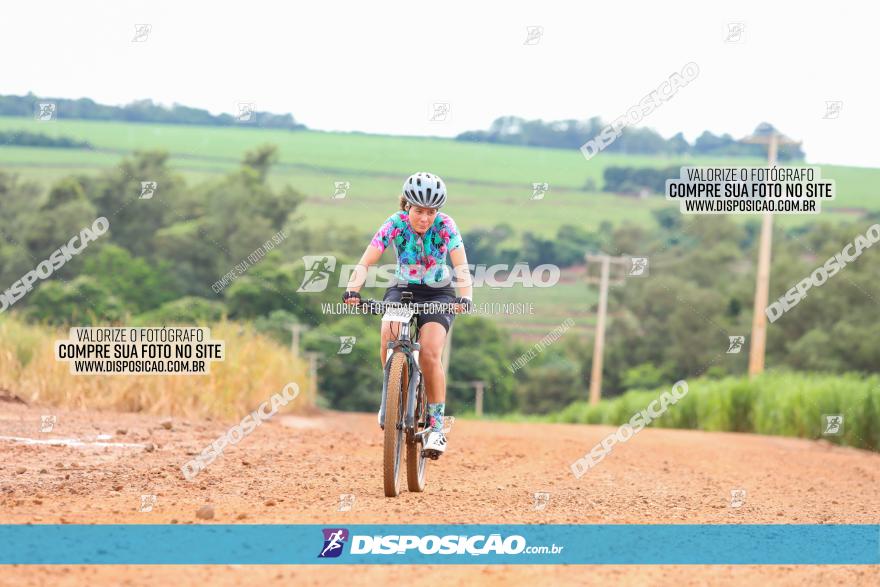 1ª EDIÇÃO DESAFIO ABELHA GRANDE - XCM