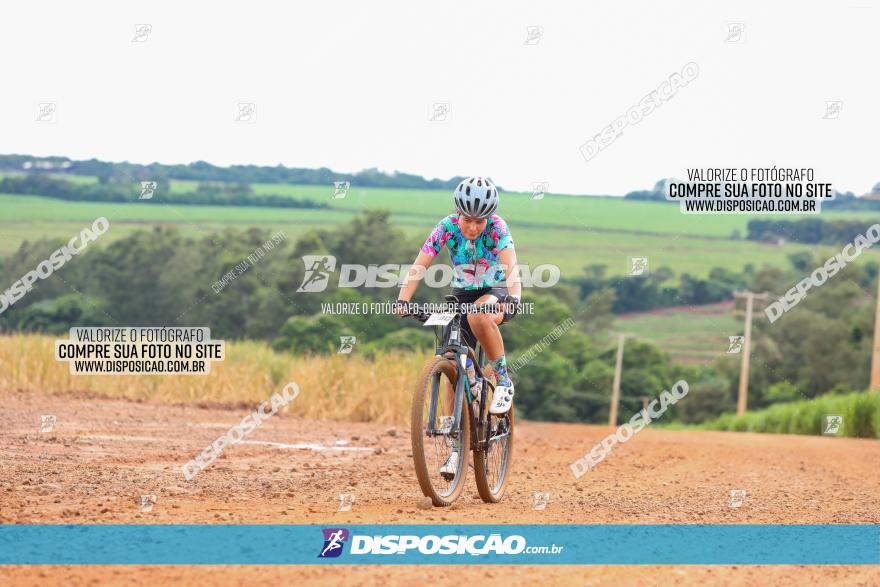 1ª EDIÇÃO DESAFIO ABELHA GRANDE - XCM