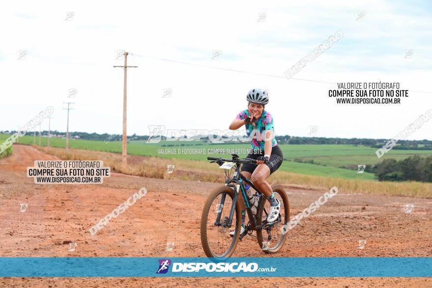 1ª EDIÇÃO DESAFIO ABELHA GRANDE - XCM