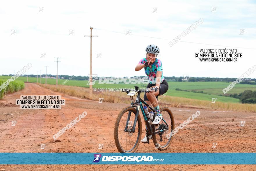 1ª EDIÇÃO DESAFIO ABELHA GRANDE - XCM