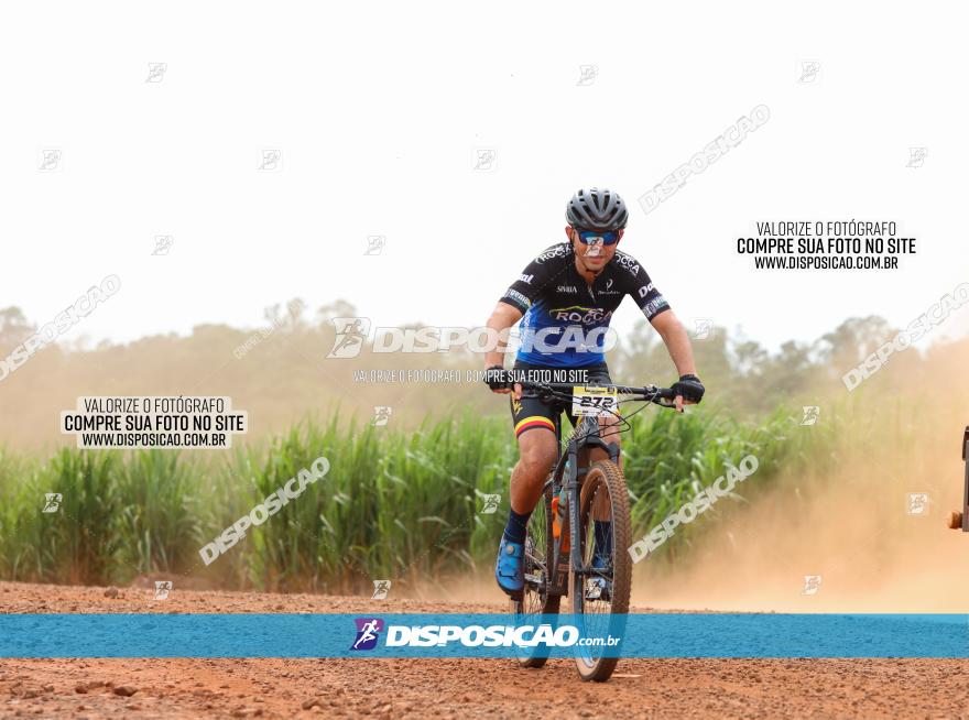 1ª EDIÇÃO DESAFIO ABELHA GRANDE - XCM