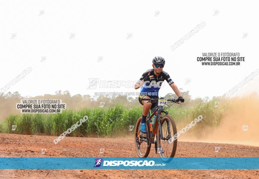 1ª EDIÇÃO DESAFIO ABELHA GRANDE - XCM