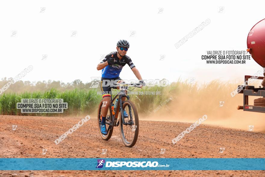 1ª EDIÇÃO DESAFIO ABELHA GRANDE - XCM