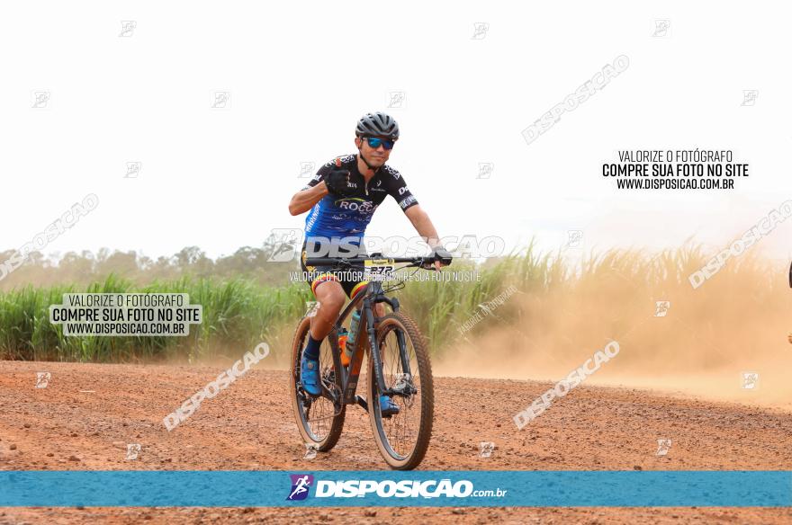 1ª EDIÇÃO DESAFIO ABELHA GRANDE - XCM